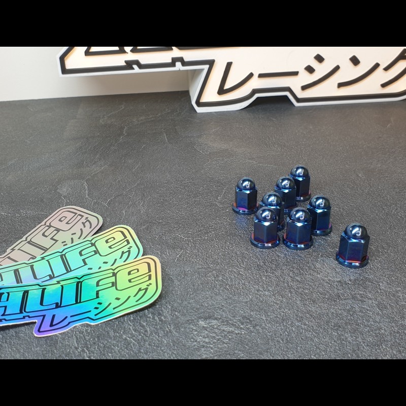 M6 TITANIUM NUTS